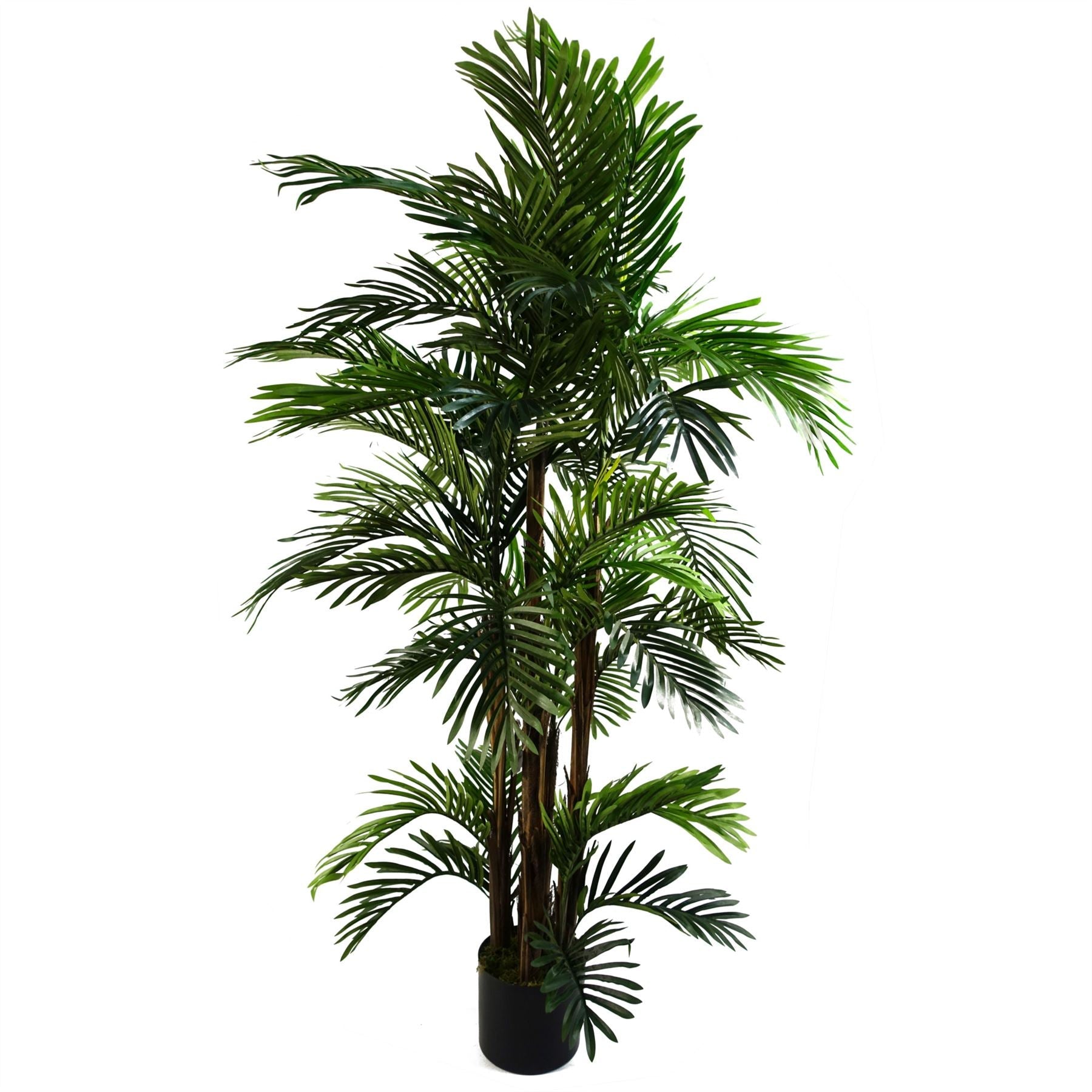 Areca Palm Artificial Tree 150cm  - Realistic plant by Botanik-0