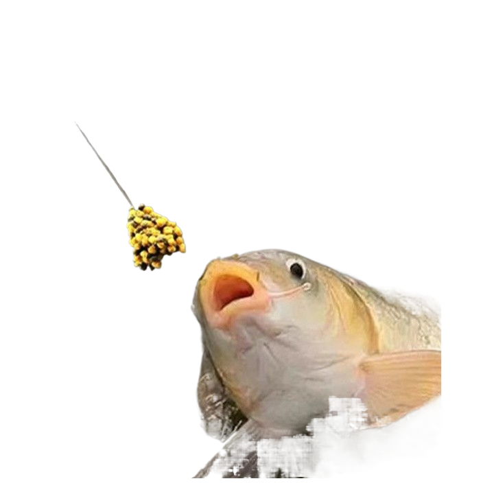 Thick and fishy black gold bubble ball bait